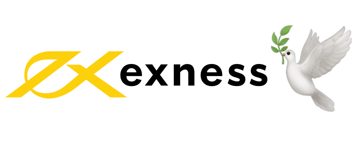 Exness Common Error Troubleshooting Guide