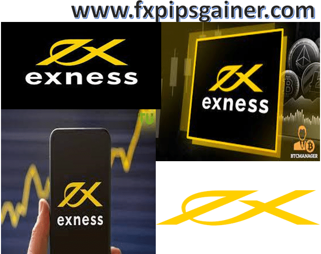 Understanding Exness Deposit Options for Traders Understanding Exness Deposit Options for Traders